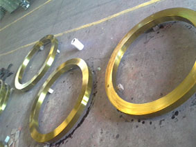 Forged Seamless Rolled Ring